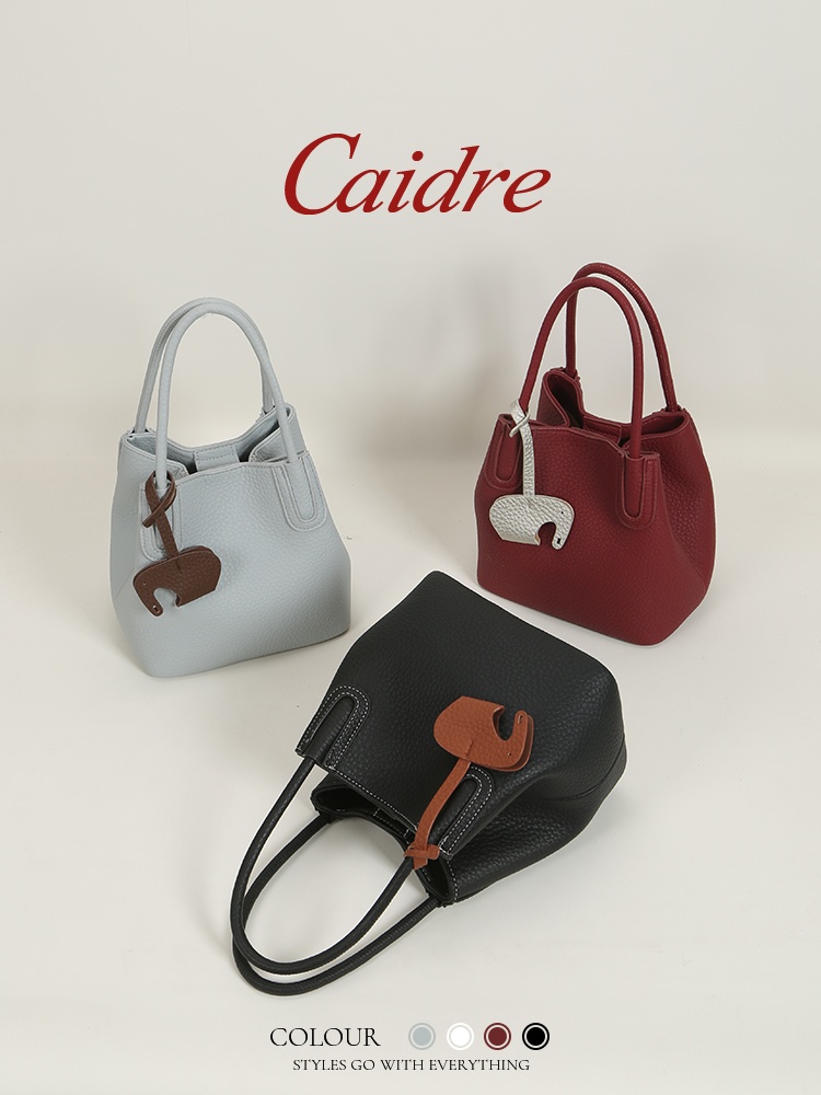 Caidre Luxury Tote Bag 2026 Ne - Luxury Bags Korea review and price